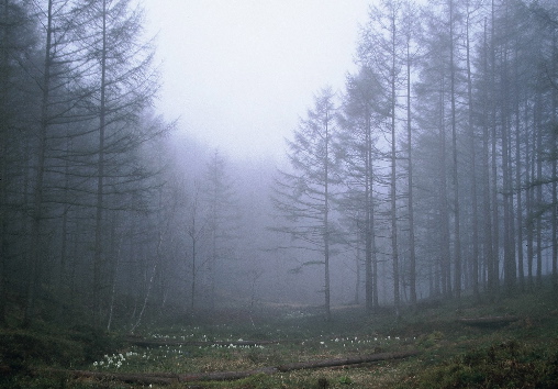 �~�Y�o�V���E