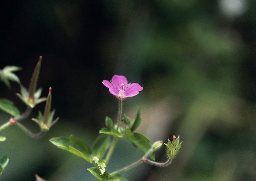 �Q���m�V���E�R